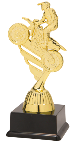 Złota Statuetka HOPKA SS1811 - Nagrody Sportowe