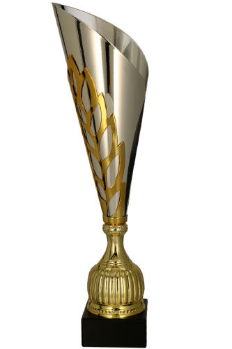 Puchar Stalowy W2024 - Trofeum Eleganckie Sportowe 