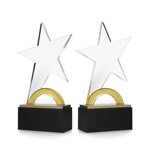 Statuetka Premium BOM003 – Gwiazda Sukcesu