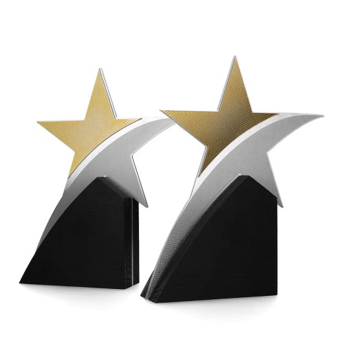 Statuetka Premium BOM020 – Gwiazda Sukcesu