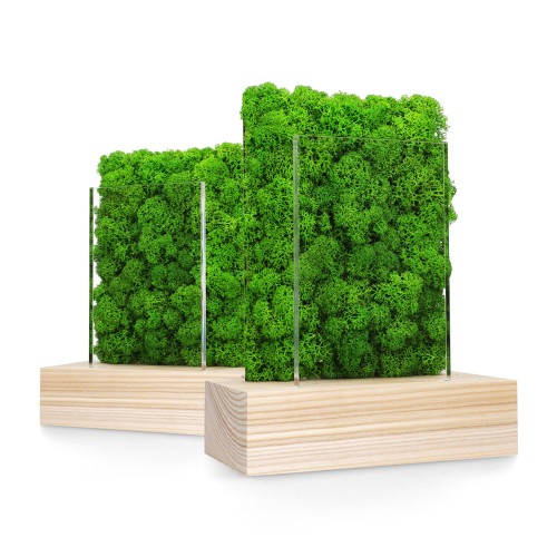 Statuetka Ekologiczna BOM021 – Natura i Nowoczesność