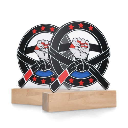 Statuetka Premium SSW002 – Sztuki Walki