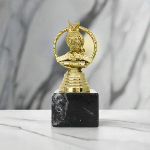 nagroda szkolna wzorowy uczeń statuetka szkolna.png