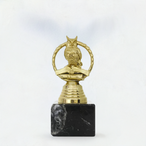 trofeum szkolnictwo statuetka sowa mp285.png