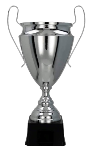 Puchar Metalowy Srebrny 2020 Trofea Sportowe