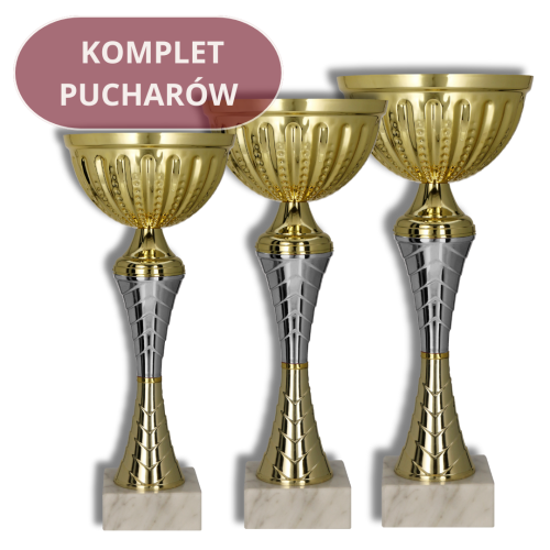 Zestaw Pucharów 9271 Puchary Sportowe