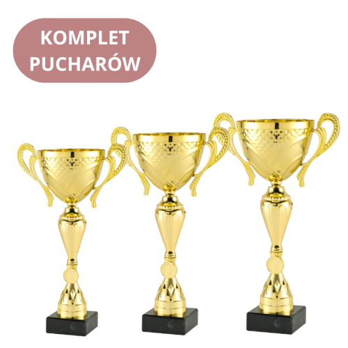 Zestaw Pucharów Merida MT.145 Puchary na Zamówienie 