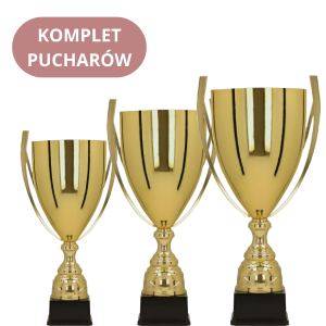 Zestaw Pucharów 1057 Puchary z Grawerem
