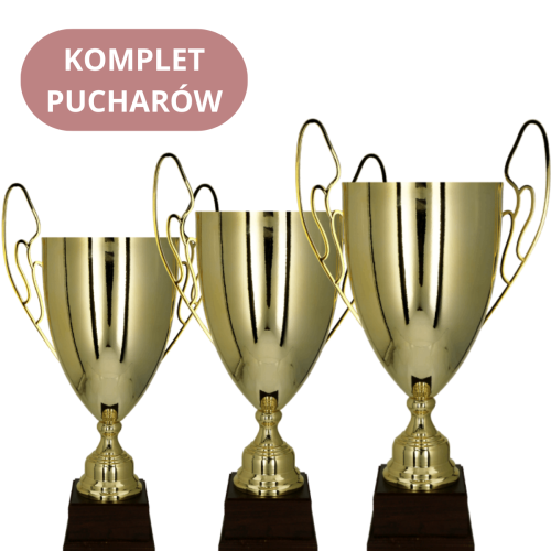 Komplet Pucharów 1063-N Personalizowane Puchary