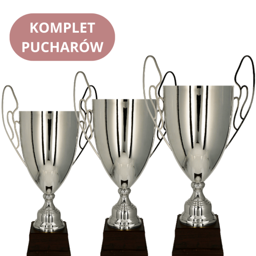Komplet Pucharów 1064-N Puchary z Grawerem