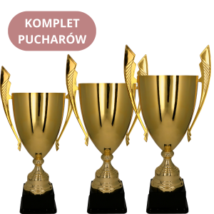Zestaw Pucharów 1069 Puchary na Zamówienie