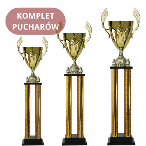 Komplet Pucharów 1075 Ekskluzywne Puchary