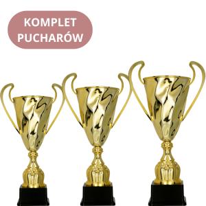 Zestaw Pucharów 2074 Puchary Sportowe