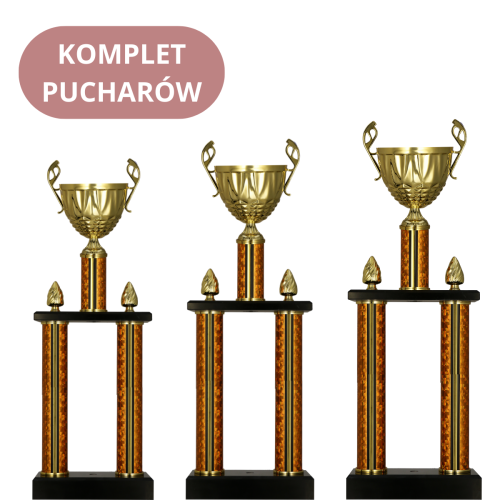 Komplet Pucharów 2087 Puchary na Zamówienie