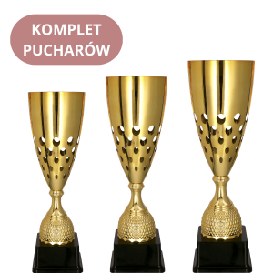 Zestaw Pucharów 2093 Puchary z Grawerem