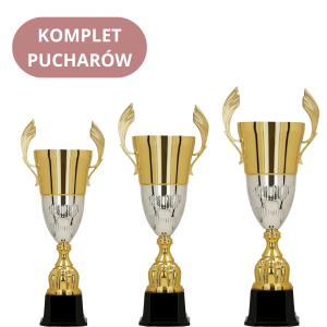 Zestaw Pucharów 3105-N Trofea Okolicznościowe