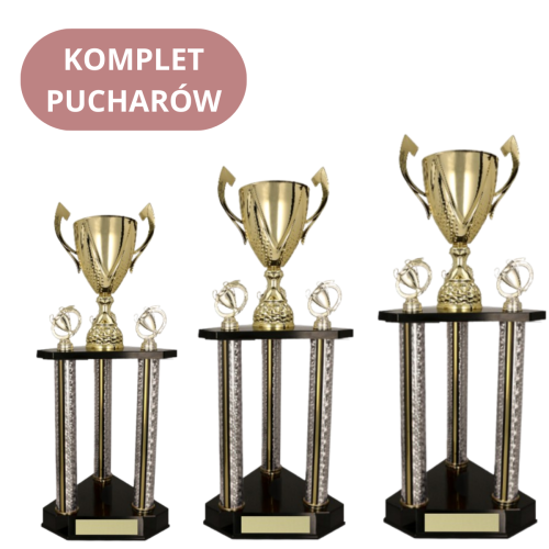 Komplet Pucharów 3131-N Ekskluzywne Puchary