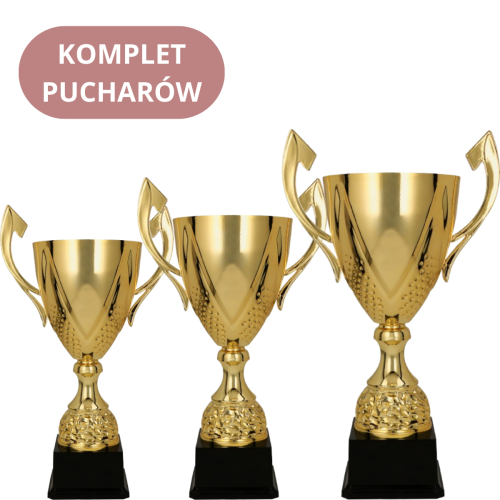 Zestaw Pucharów 3133 Puchary Sportowe