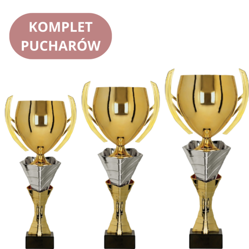 Zestaw Pucharów 3152 Puchary Sportowe