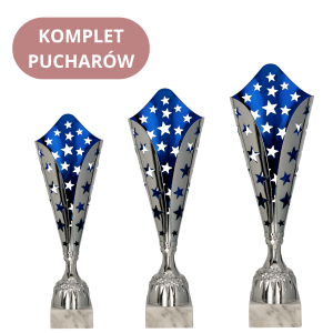 Zestaw Pucharów 3156 Puchary Warszawa