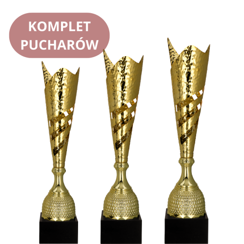 Zestaw Pucharów 3160 Nagrody Sportowe