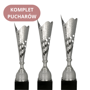 Zestaw Pucharów 3161 Nagrody Sportowe