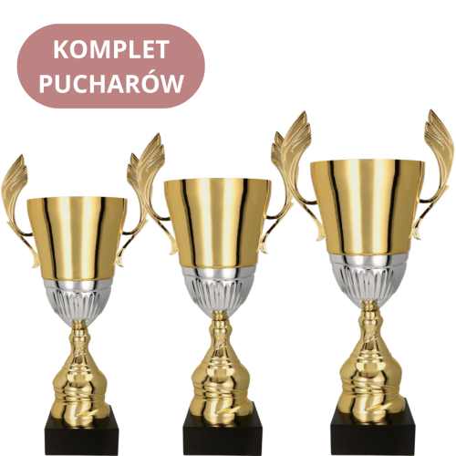 Komplet Pucharów 4128 Trofea Sportowe