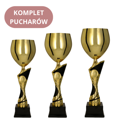 Zestaw Pucharów 4206 Ekskluzywne Puchary