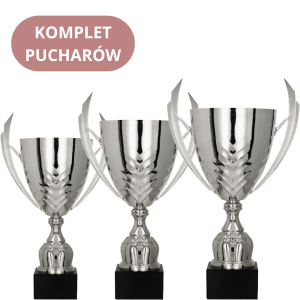 Zestaw Pucharów 4225 Nagrody Okolicznościowe