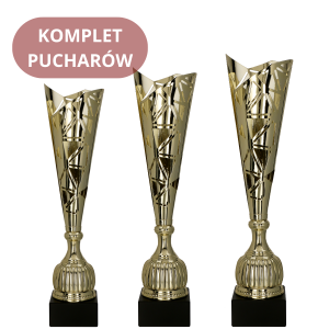 Zestaw Pucharów 4230 Nagrody Sportowe