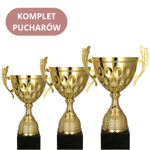 Zestaw Pucharów 4233 Puchary na Zamówienie