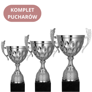 Zestaw Pucharów 4234 Trofea Sportowe