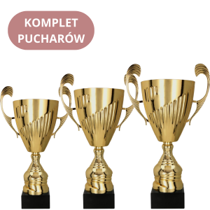 Zestaw Pucharów 7098 Puchary Sportowe