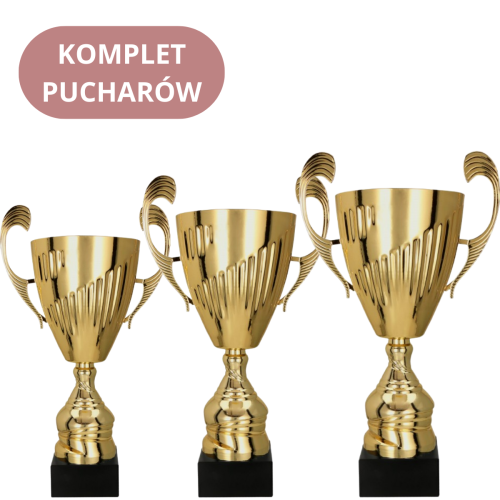 Zestaw Pucharów 7098 Puchary Sportowe