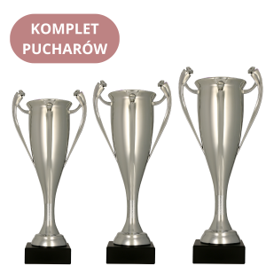 Zestaw Pucharów 7094 Nagrody Okolicznościowe