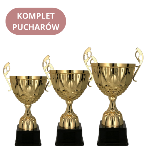 Zestaw Pucharów 7220 Puchary na Turnieje