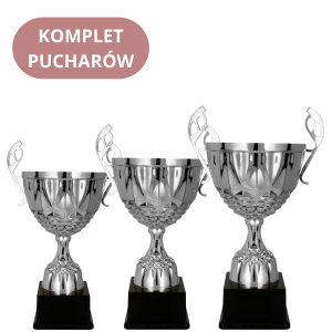 Zestaw Pucharów 7221 Puchary Na Nagrody