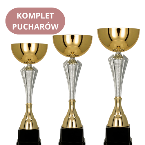 Zestaw Pucharów 7241 Puchary Sportowe