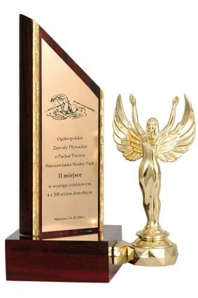 Trofeum Drewniane TROF1+F330B/GR z Miejscem Na Figurkę