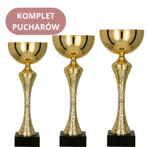 Zestaw Pucharów 8356 Puchary na Zamówienie
