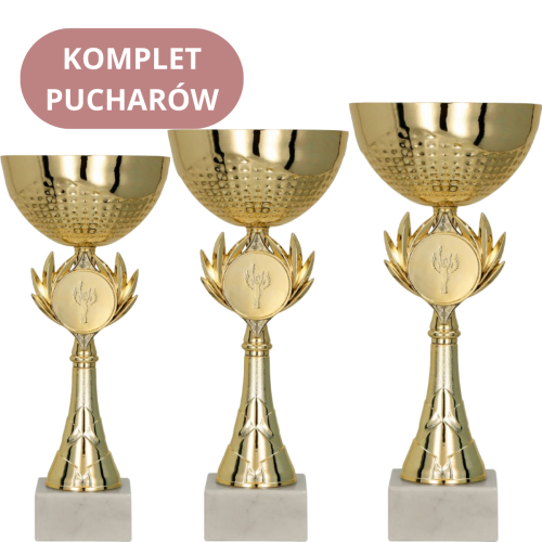 Zestaw Pucharów 8342 Trofea Sportowe