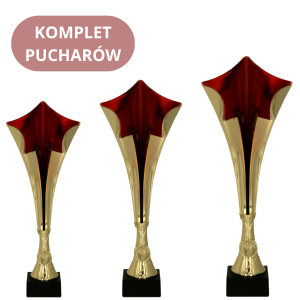 Zestaw Pucharów 8373 Puchary Ekonomiczne
