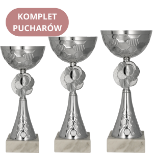 Zestaw Pucharów 8486 Puchary Sportowe
