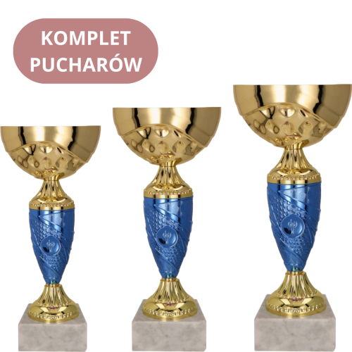 Zestaw Pucharów 9058 Puchary na Nagrody