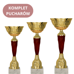 Zestaw Pucharów 9257 Puchary na Turnieje