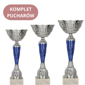 Zestaw Pucharów 9258 Puchary na Zamówienie