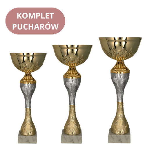 Zestaw Pucharów 9266 Tanie Puchary
