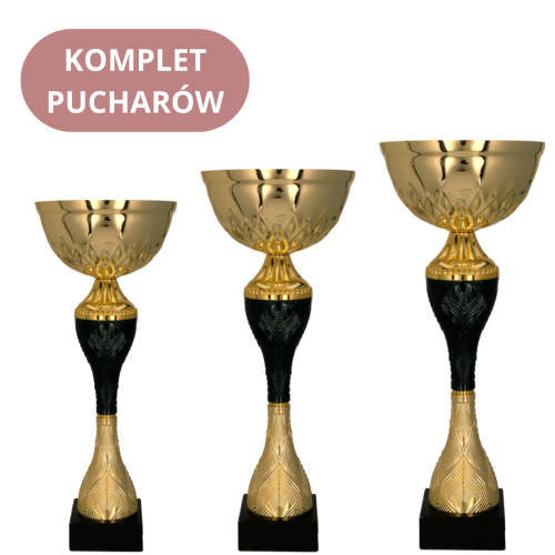 Zestaw Pucharów 9268 Puchary na Zamówienie