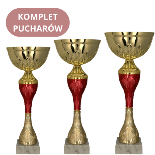 Zestaw Pucharów 9270 Nagrody Biznesowe