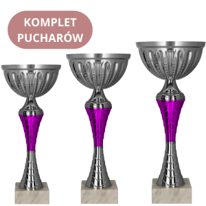 Zestaw Pucharów 9273 Trofea Okolicznościowe